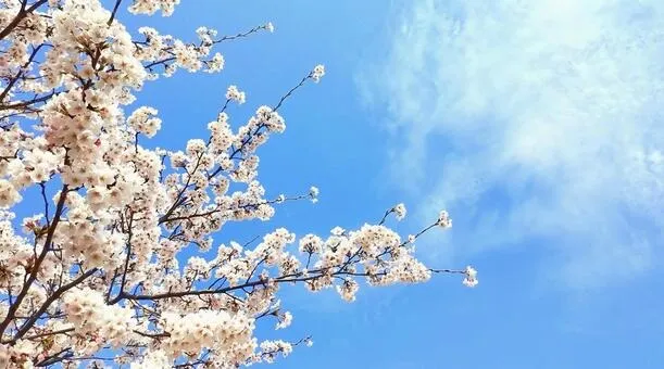 新生活で足トラブル急増？巻き爪・陥入爪が増える理由と対策【宇都宮】／巻き爪補正２４宇都宮店